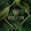 Terraza Lyon San Ángel