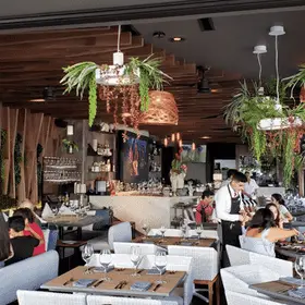 Restaurante Porfirio's Playa del Carmen