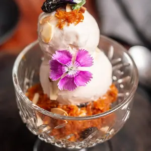 Yum Yum 1 Playa del Carmen 3