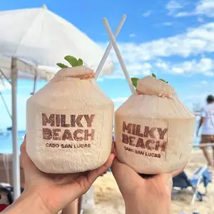 Milky Beach Club Los Cabos 4