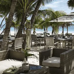 Restaurante ambrosia Tulum 7