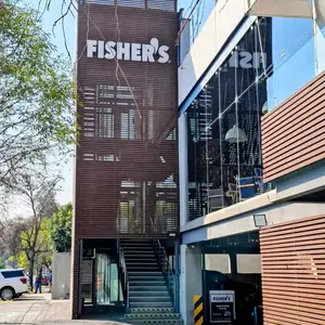 Fisher's Satélite 1