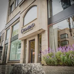 Chambao Polanco 1