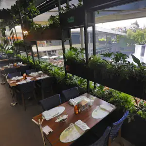 Fisher's Oasis Coyoacán 9