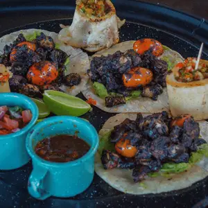 The Hungry Shark Cabos 1