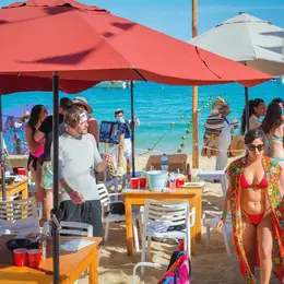 The Hungry Shark Cabos - foto 3