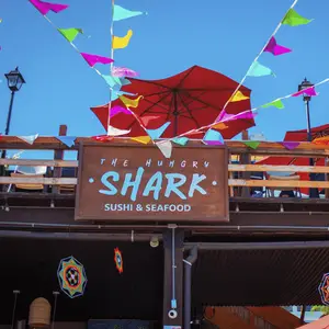 The Hungry Shark Cabos 6