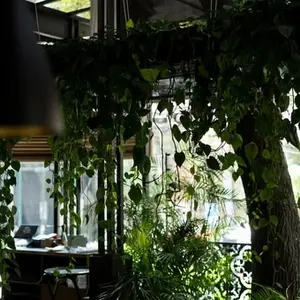 Restaurante Cerrajería Roma 3