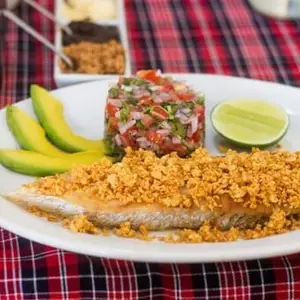 Restaurante La Minilla Veracruz 8