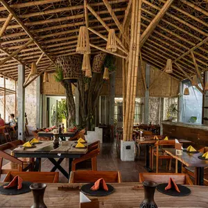 Restaurante Waah Cocina Bacalar 8