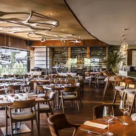 Restaurant Harry's Playa del Carmen