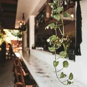 Ajal Restaurante Bacalar 7