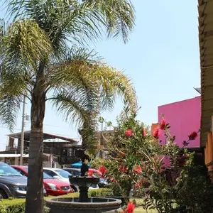 Restaurant Las Espuelas Casa Blanca 4