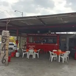 Tacos Vazquez Paseo del Nogal - foto 2