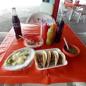 Tacos Vazquez Paseo del Nogal 8