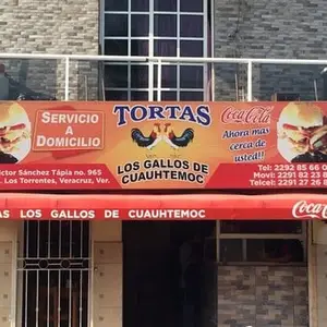 Los Gallos de Cuauhtémoc Torrentes 2