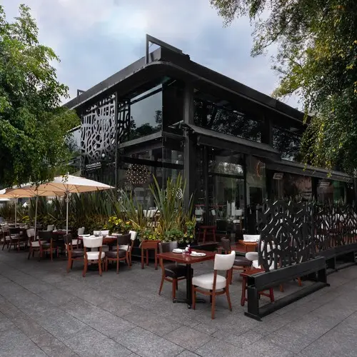 Restaurante Rosa Negra Polanco - foto 4