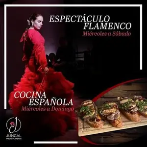 Juncal Tablao Flamenco Roma Norte 9