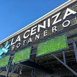 La Ceniza Botanero Apodaca 1