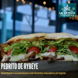 La Ceniza Botanero Apodaca 2