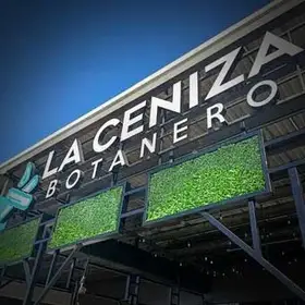 La Ceniza Botanero Apodaca