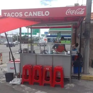 Tacos Canelo Veracruz 1