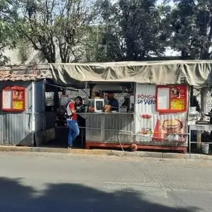 Tortas Cubanas Javier Guadalajara 1
