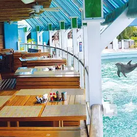 Restaurante Jugo de Limón Cancún
