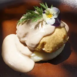 Restaurante OXA Cocina Única San Ángel 2