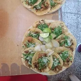 Taquería Don Paz Centro - foto 2