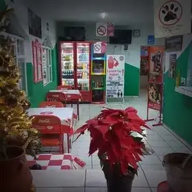 La Guarida del Kmaleon Tonalá