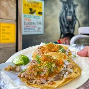 Taquería El Torito Centro Local D 3