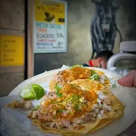 Taquería El Torito Centro Local D