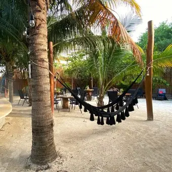 Restaurante Shimaholbox Holbox - foto 1