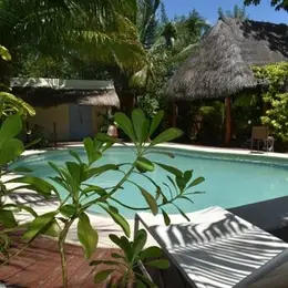 Restaurante Shimaholbox Holbox - foto 3
