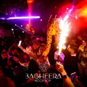 Bagheera Rooftop Satélite 6