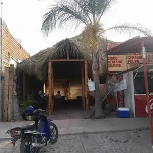 Mariscos La Palapa de Pilo Encarnación de Díaz 2