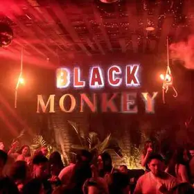 Restaurant Monkey Satélite