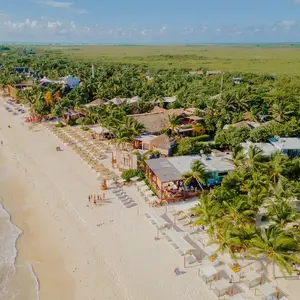 Restaurante La Zebra Tulum 1