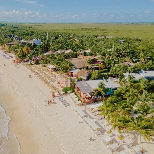 Restaurante La Zebra Tulum - foto 1