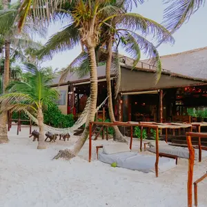 Restaurante La Zebra Tulum 9
