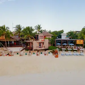 Restaurante La Zebra Tulum 6