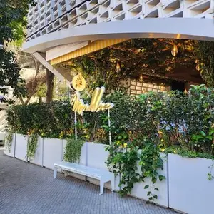 Restaurante Mandolina Roma 9