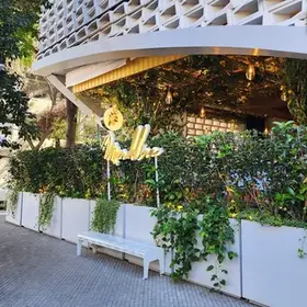 Restaurante Mandolina Roma