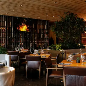 Sonora Grill Roma Condesa 5