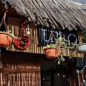 Restaurante UNO Japanese Noodles Tulum - foto 1
