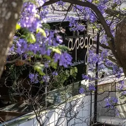 Restaurante Apego Balcón del Sur - foto 3