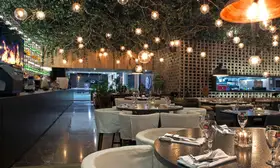 Sonora Grill Irapuato CIBELES