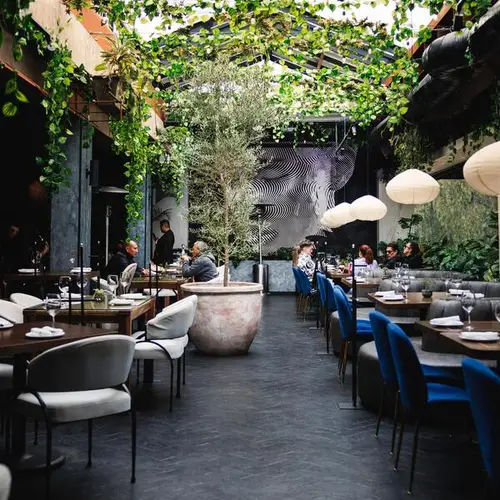 KYU México Polanco - foto 1