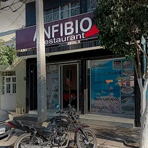 Anfibio Restaurant Fresnillo 1